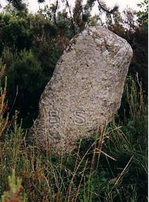 Menhir  proximit de la chapelle de Saint Salvayre