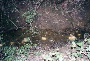 La fontaine des 4 Ritous prs de Rennes-le-Chteau - Cliquer pour agrandir