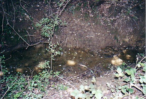 La fontaine des 4 Ritous prs de Rennes-le-Chteau