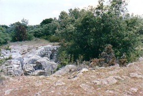 L'aven Paris prs de Rennes-le-Chteau - Cliquer pour agrandir